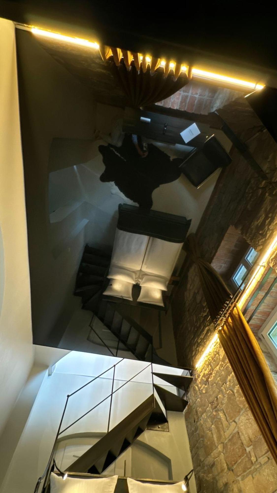 Historical Luxury Homes - Luxus Loft Wallstreet Фрайбург Екстериор снимка