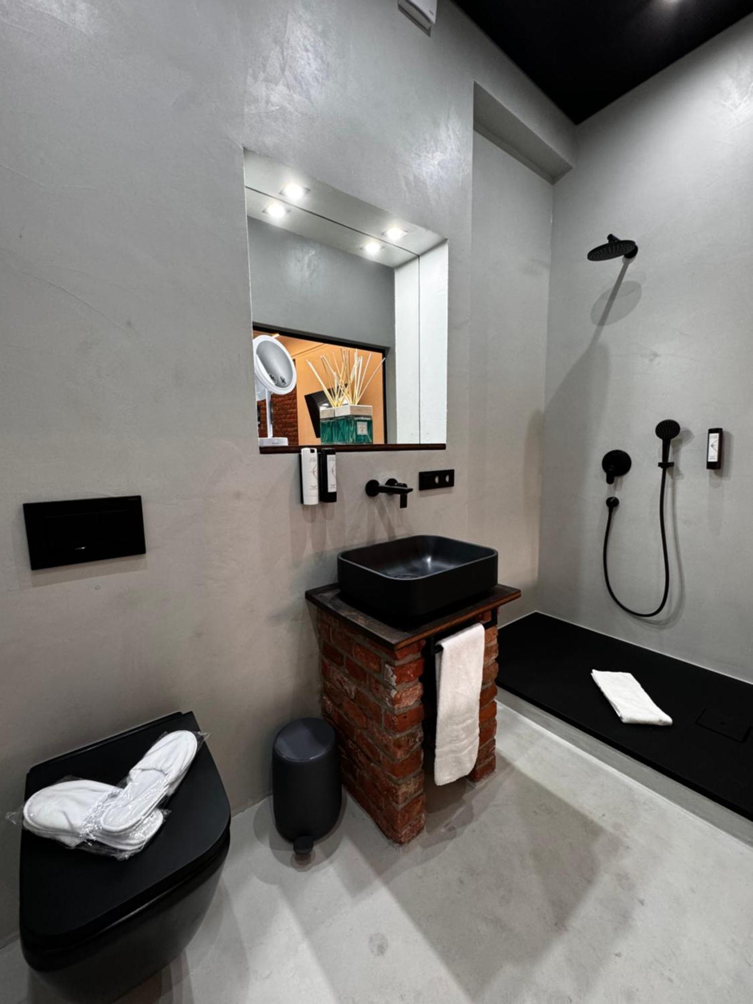 Historical Luxury Homes - Luxus Loft Wallstreet Фрайбург Екстериор снимка